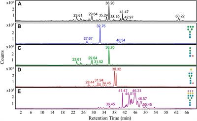 In-House Packed Porous Graphitic Carbon Columns for Liquid Chromatography-Mass Spectrometry Analysis of N-Glycans